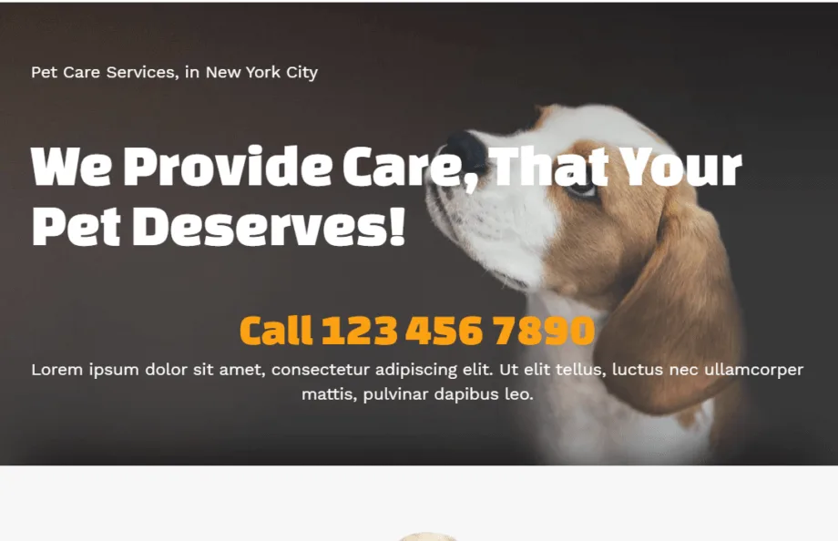 Local Website Designer for Pet_Services