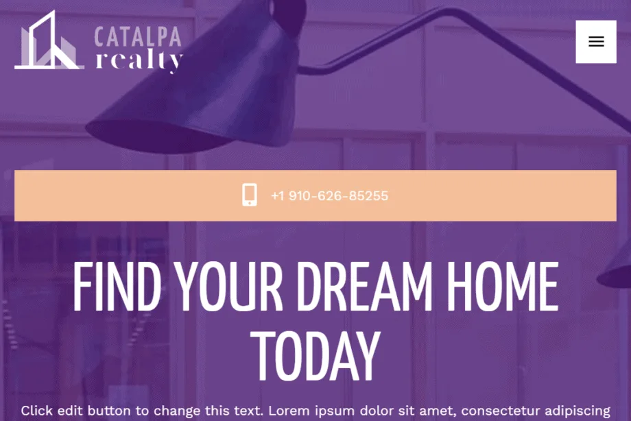 Local Website Designer for Real_Estate